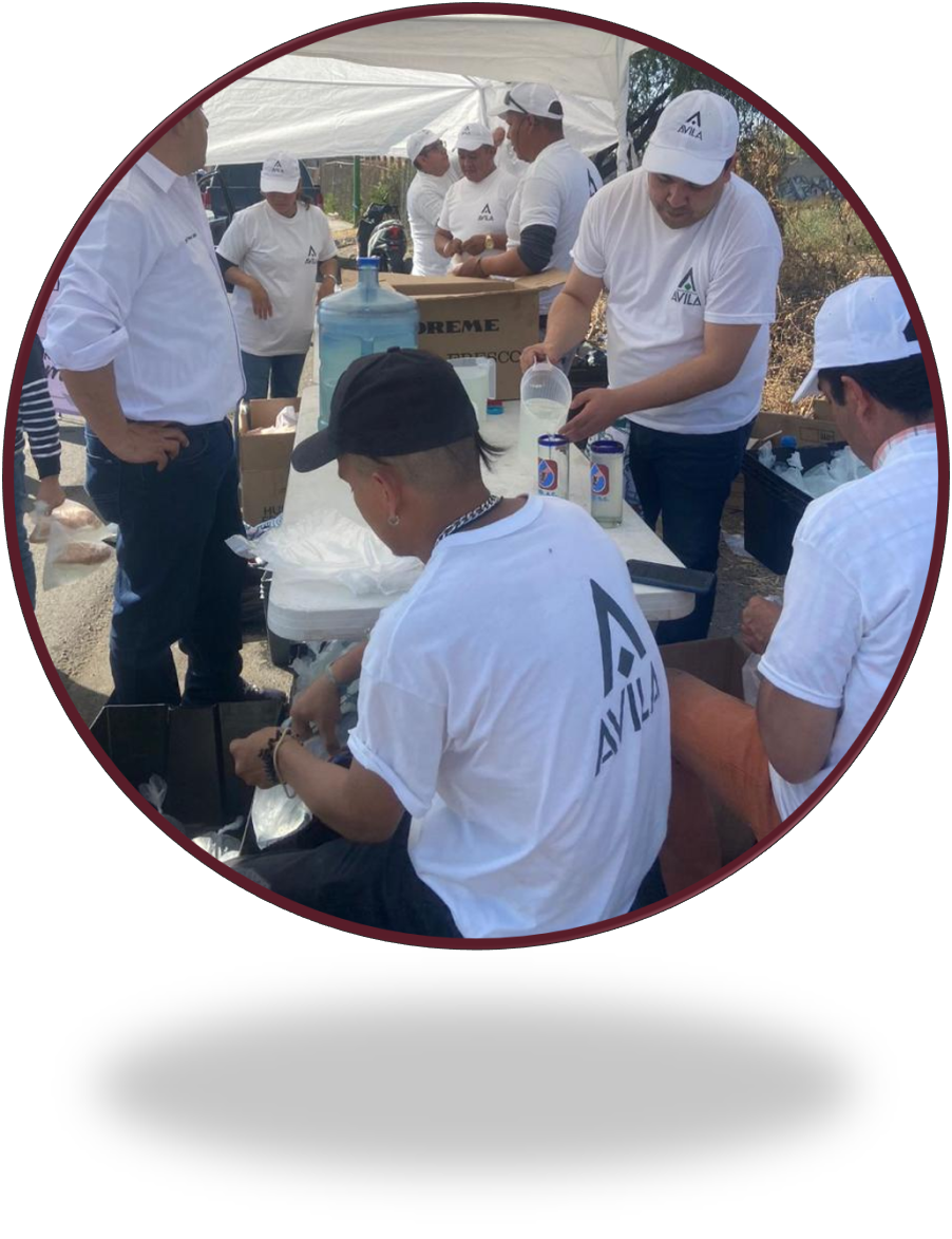 Fundacion Avila - Hero 4 Fundación Ávila