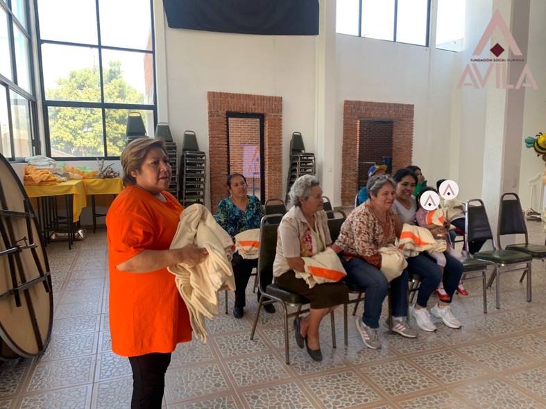 Fundacion Social Humana Avila - Inamex