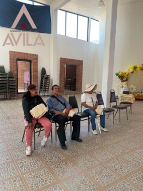Fundacion Social Humana Avila - Inamex